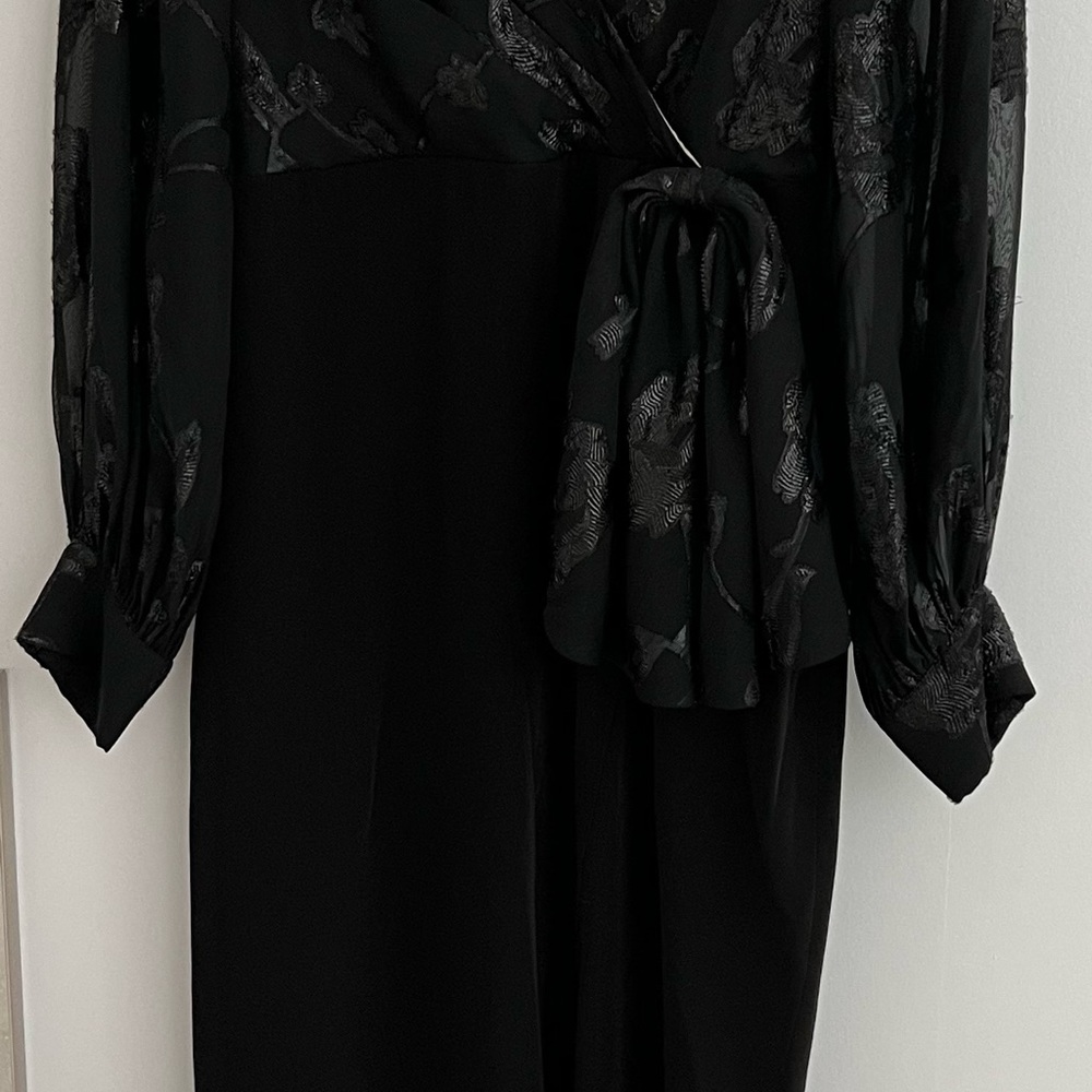 Sachin and Babi Never been worn Lara Gown